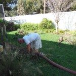 Septic Cleaning