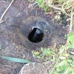 Commercial Septic Inspection