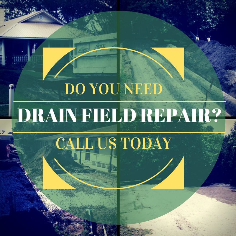 Do You Need Drain Field Repair? Call Us Today