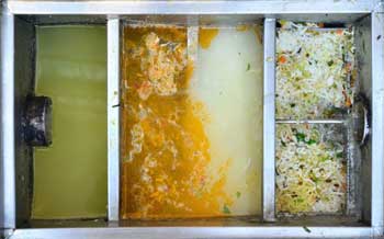 Grease Traps in Auburndale, FL