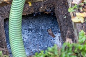 Septic Cleaning in Bartow, Florida