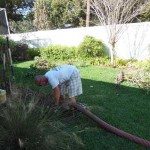 Residential Septic Inspection in Polk City, Florida