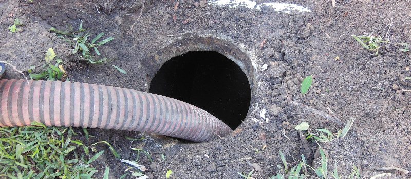 Frequency of Septic Pump-outs: Are You on Track?