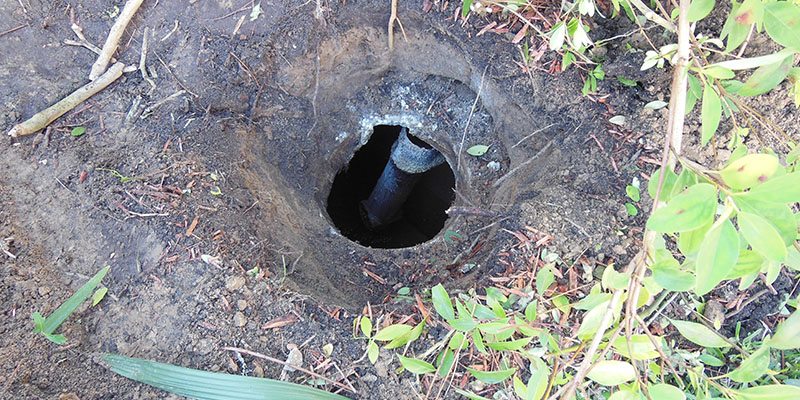 Commercial Septic Inspection in Plant City, Florida