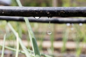 Efficient-drip irrigation systems use less water