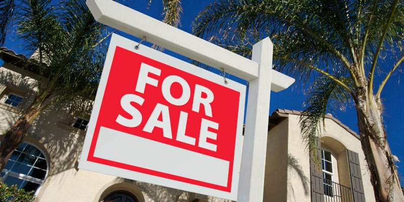 Real Estate Septic System Inspection in Haines City, Florida